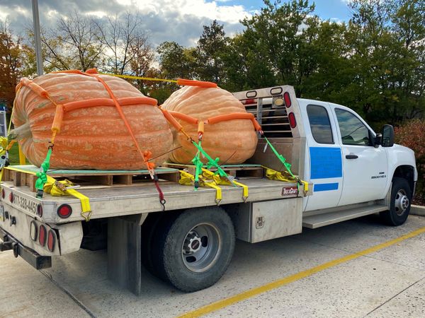 On their way to the Giant Pumpkin contest thumbnail