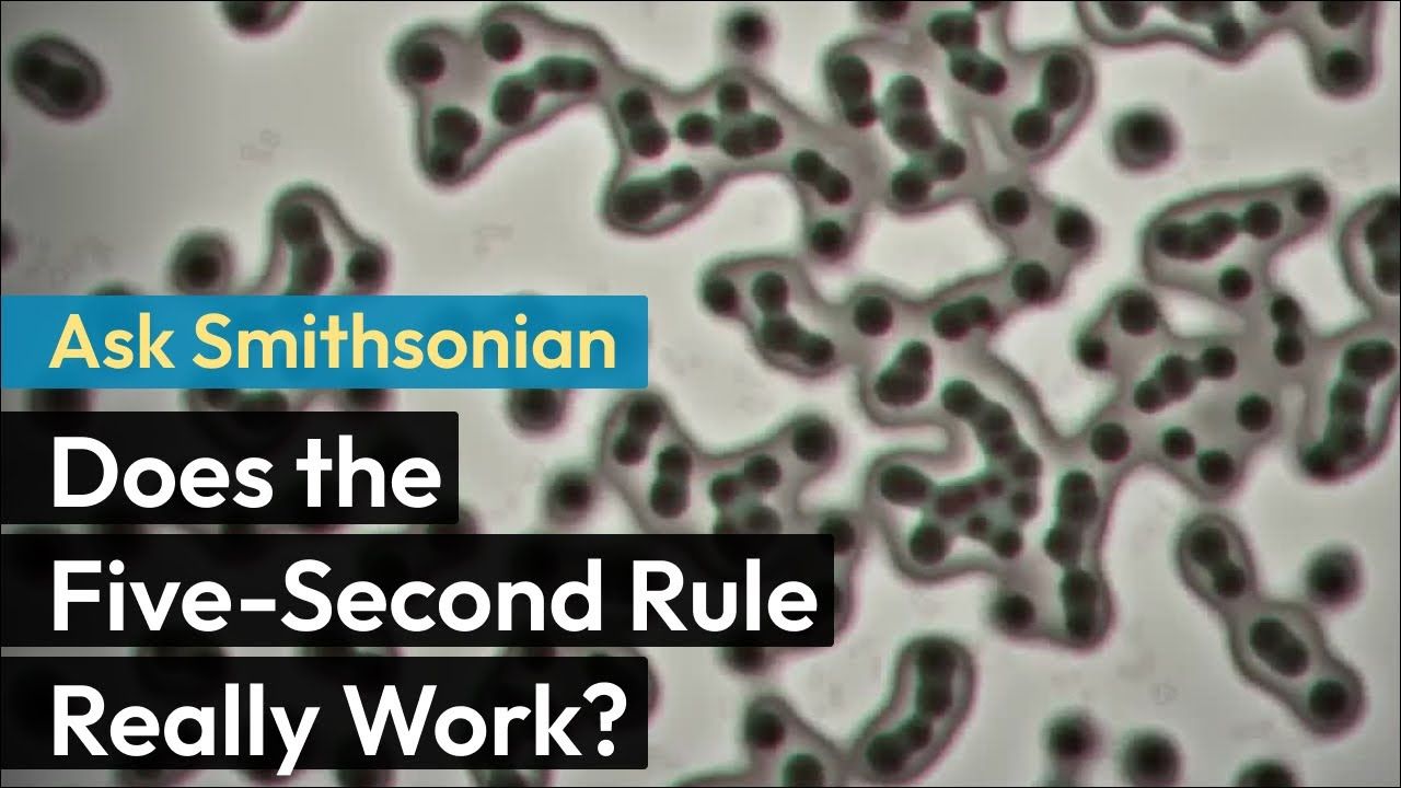 Preview thumbnail for Ask Smithsonian: Does the Five-Second Rule Really Work?