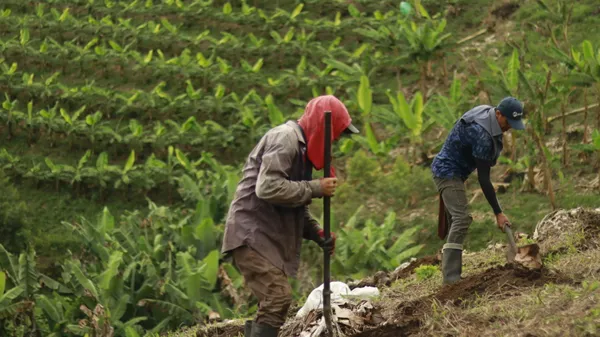 The day to day thumbnail