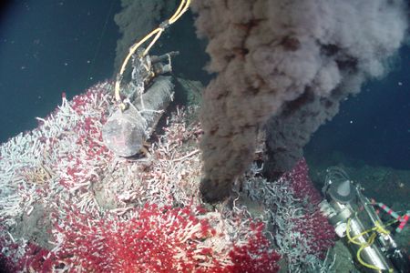 Sully Vent in the Main Endeavour Vent Field in the northeast Pacific, similar to the environment LUCA would have lived