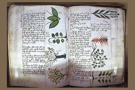 A page from fifteenth century Armenian physician Amirdovlat Amasiatsi’s botanical encyclopedia, Useless for the Ignorant, housed in Matanadaran.