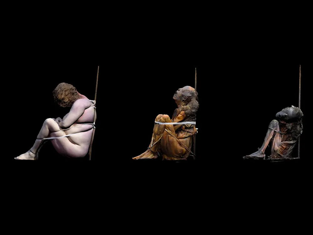 Computer generated illustration of 3 bound bodies demonstrating various stages of the breakdown of soft tissue