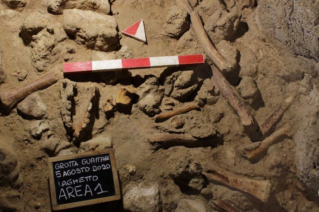 Fossilized Neanderthal remains found in an Italian cave