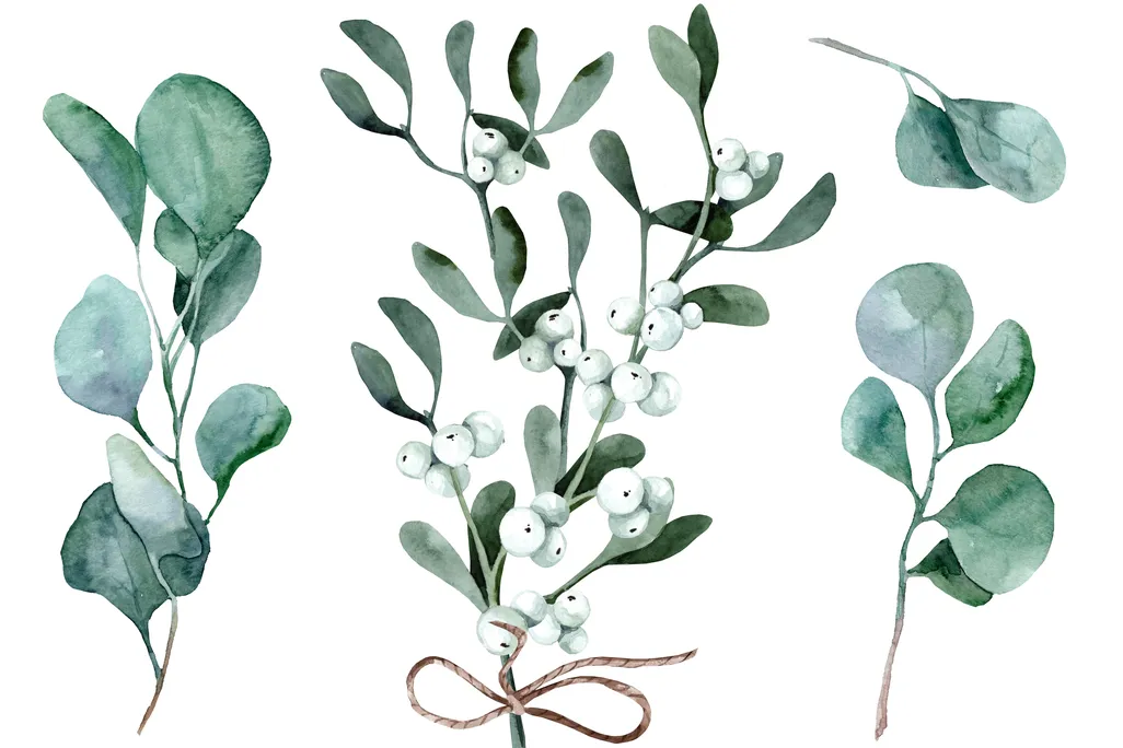 mistletoe