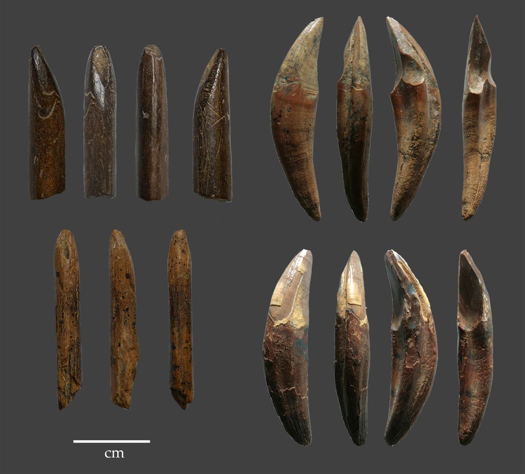 paleolithic bone tools