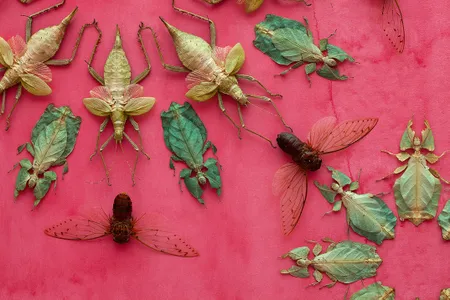 A detail of Jennifer Angus' work In the Midnight Garden, 2015 