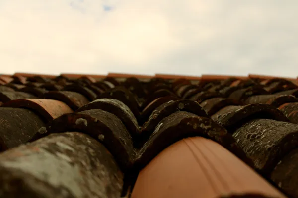 The tiles of a roof thumbnail