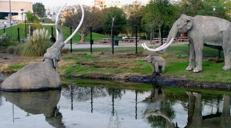A woolly mammoth sinks into the tar at the La Brea Tar Pits in Los Angeles.