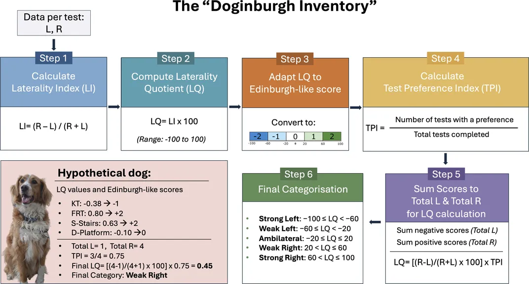 doginburgh inventory