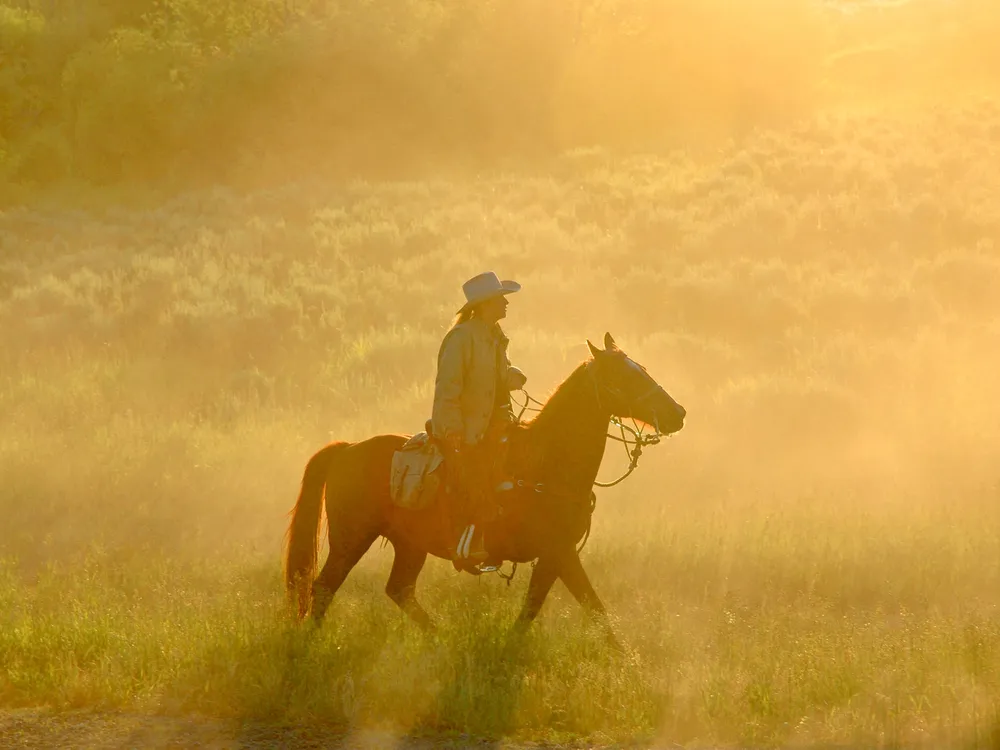 A woman and her equine push a herd of horses on a hazy morning near Grand Teton National Park.