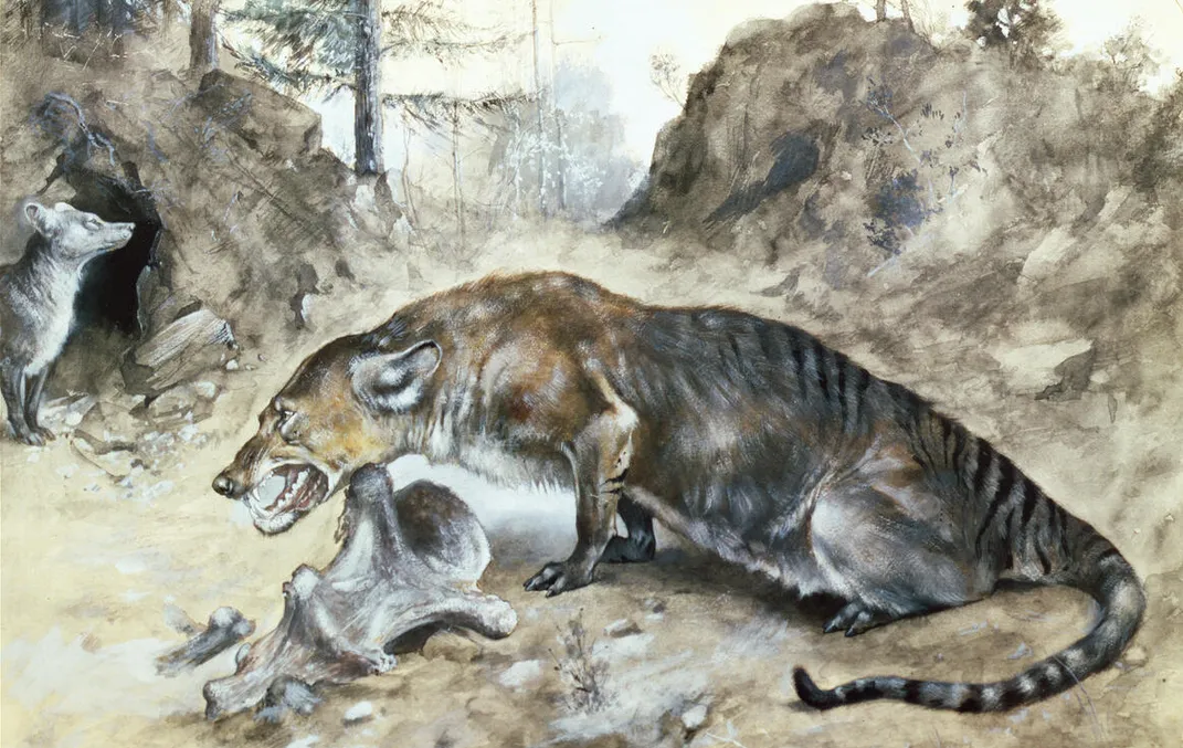 an illustration of a wolflike predator snarling over bones