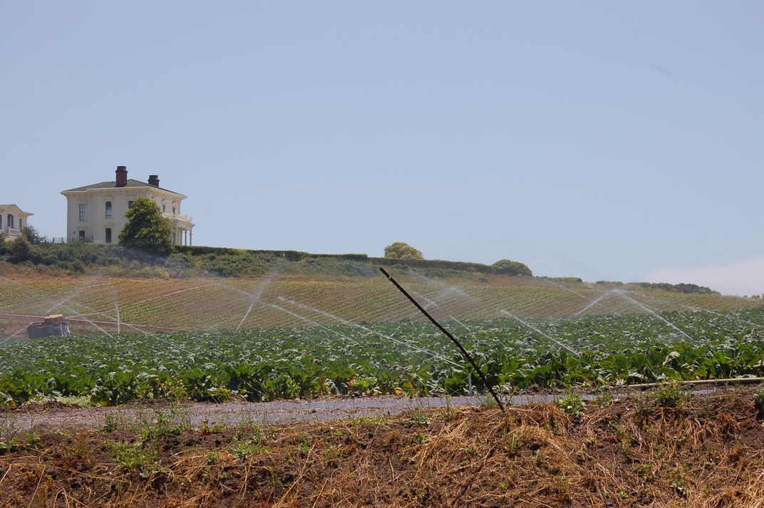 Sprinklers on the farm | Smithsonian Photo Contest | Smithsonian Magazine