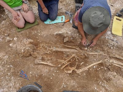 Archaeologists inspect the Anglo-Saxon warlord's grave.