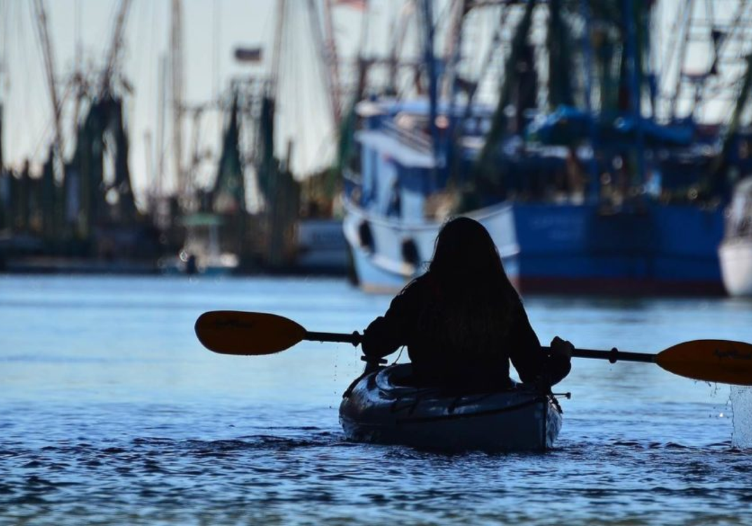 Beyond the Cobblestones: Unearthing Charleston's Authentic Outdoor Experiences