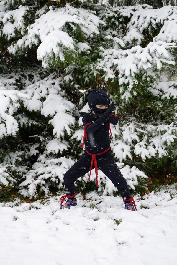 Ninja in the snow thumbnail
