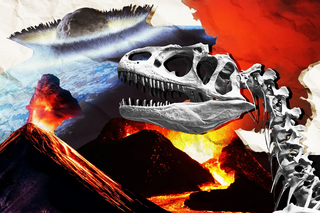Asteroid and Volcanoes and Dinosaur Skeleton