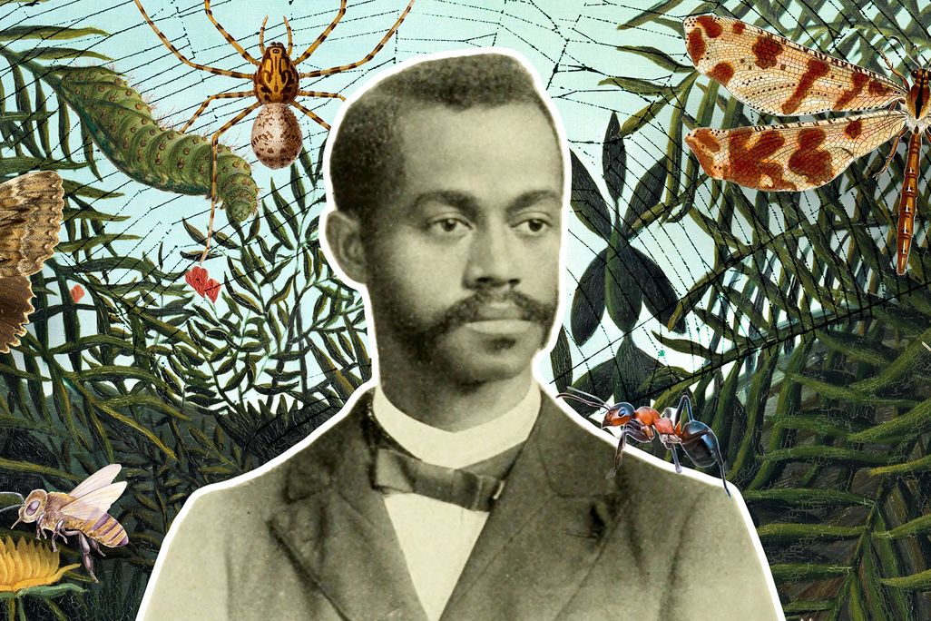 Charles Henry Turner