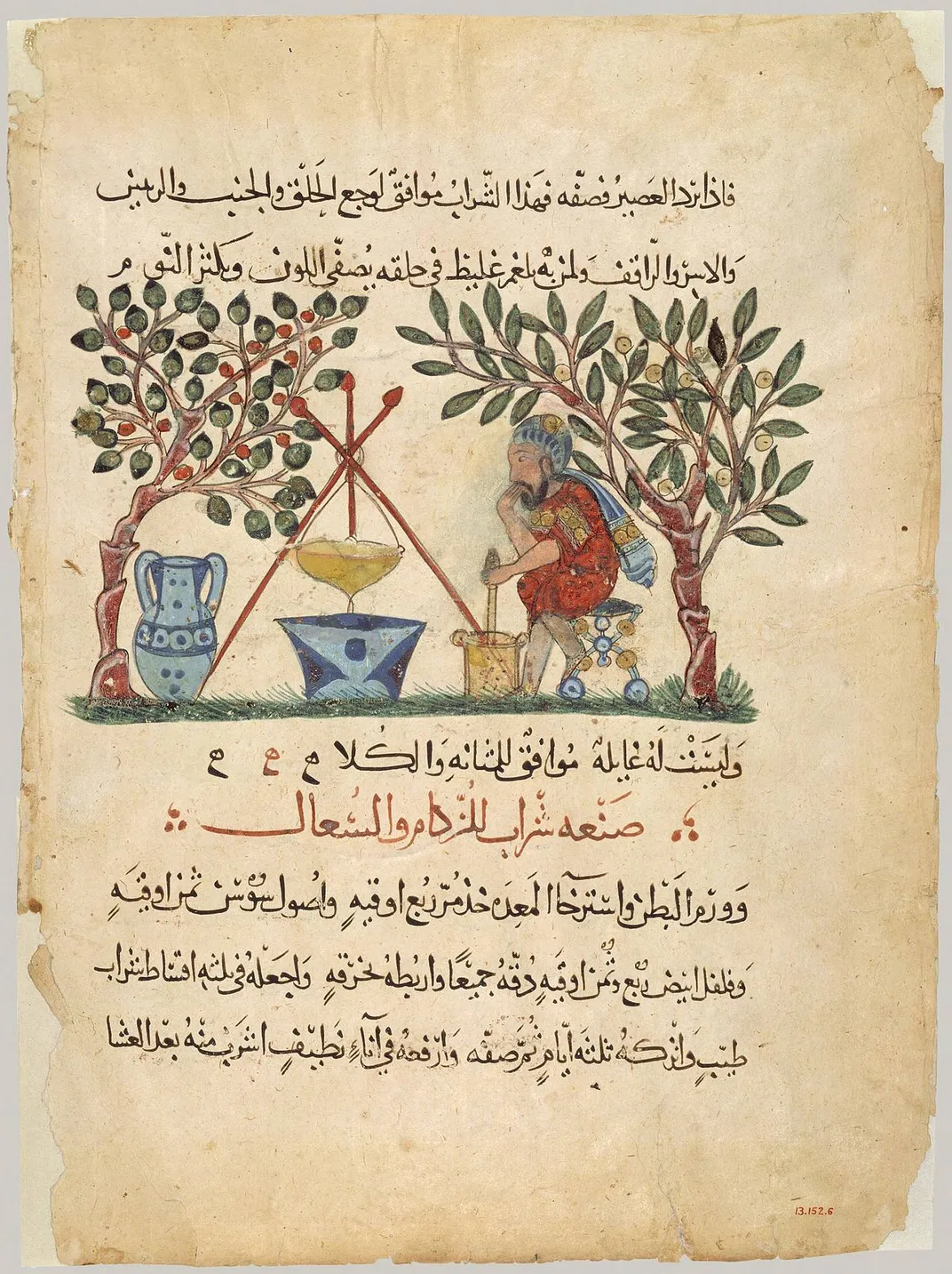 Leaf from a 1224 Arabic translation of the Materia Medica of Dioscorides