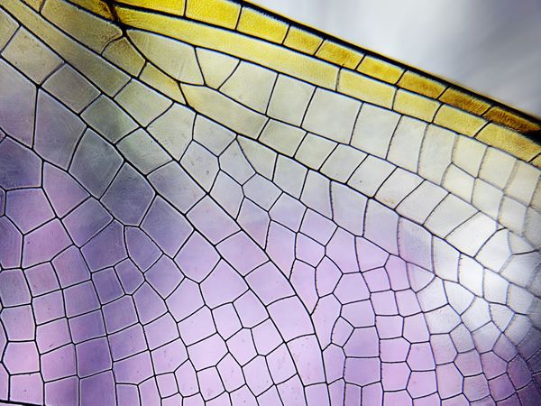 Fake Stained Glass thumbnail
