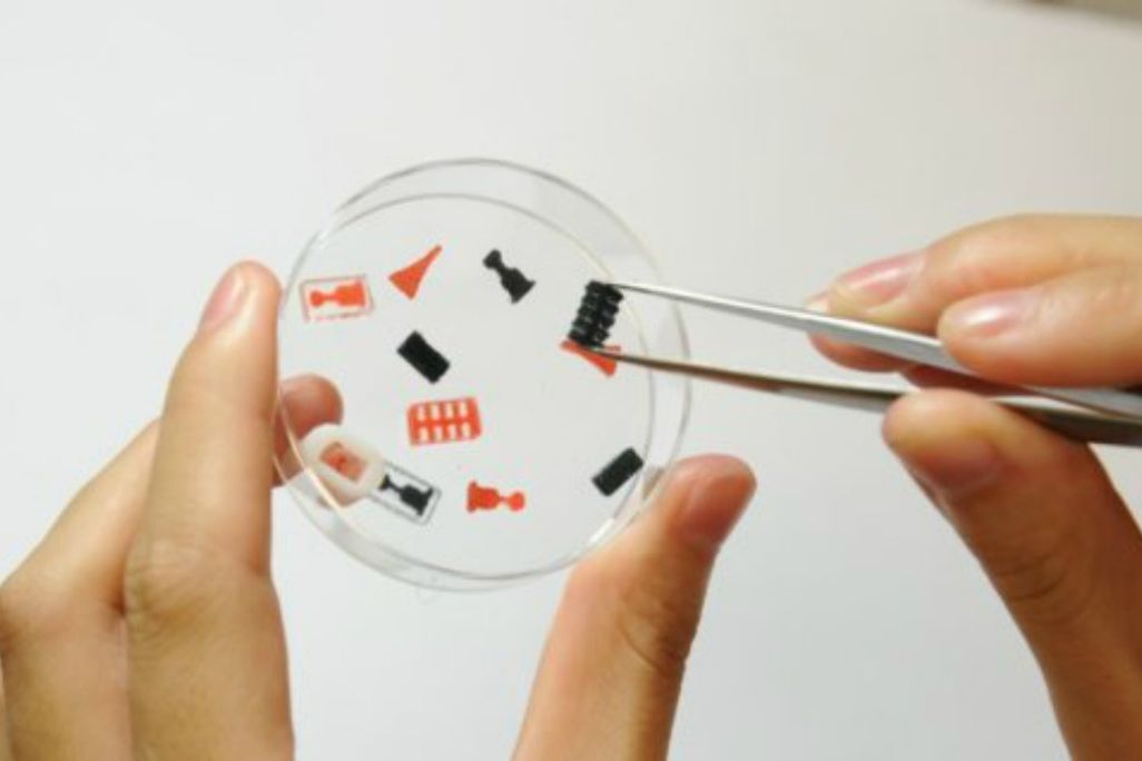 3D-Printed Pill