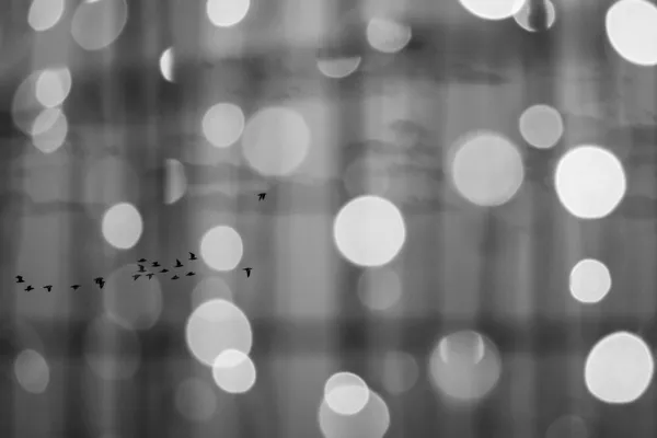 city lights thumbnail