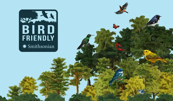 Bird Friendly