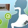 Scientists Invent a Digestible, Paper-Based Battery That Can Power Swallowed or Implanted Medical Devices icon