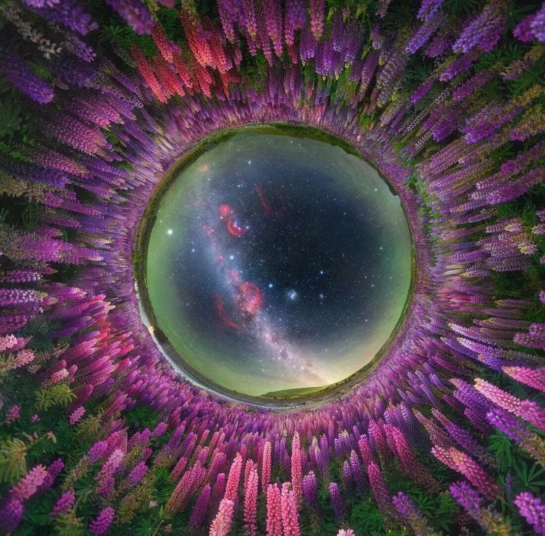 a 360-degree view of the sky, surrounded by pink and purple flowers
