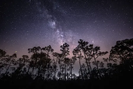 A view of the sky during the Eta Aquariid meteor shower over the&nbsp;Fred C. Babcock/Cecil M. Webb Wildlife Management Area in Florida
