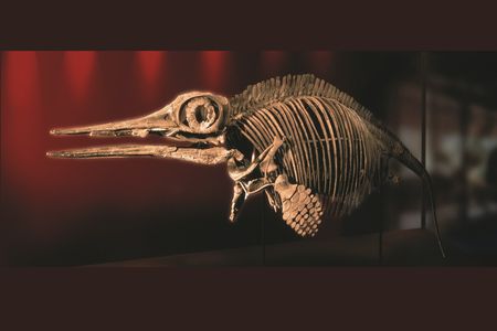 Smithsonian Voices Cover - Ancient Sea Reptiles.jpg