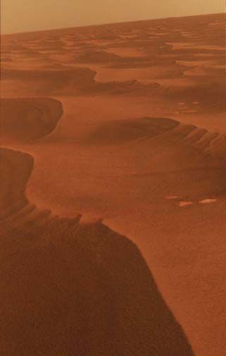 Opportunity pic-505.jpg