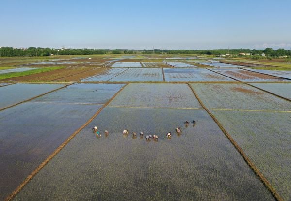 Water and agriculture thumbnail