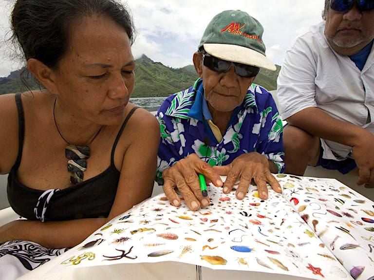 Three people on a boat, poring over a large poster with illustrations of marine life