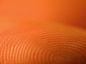 20110520104112fingerprint-300x225.jpg