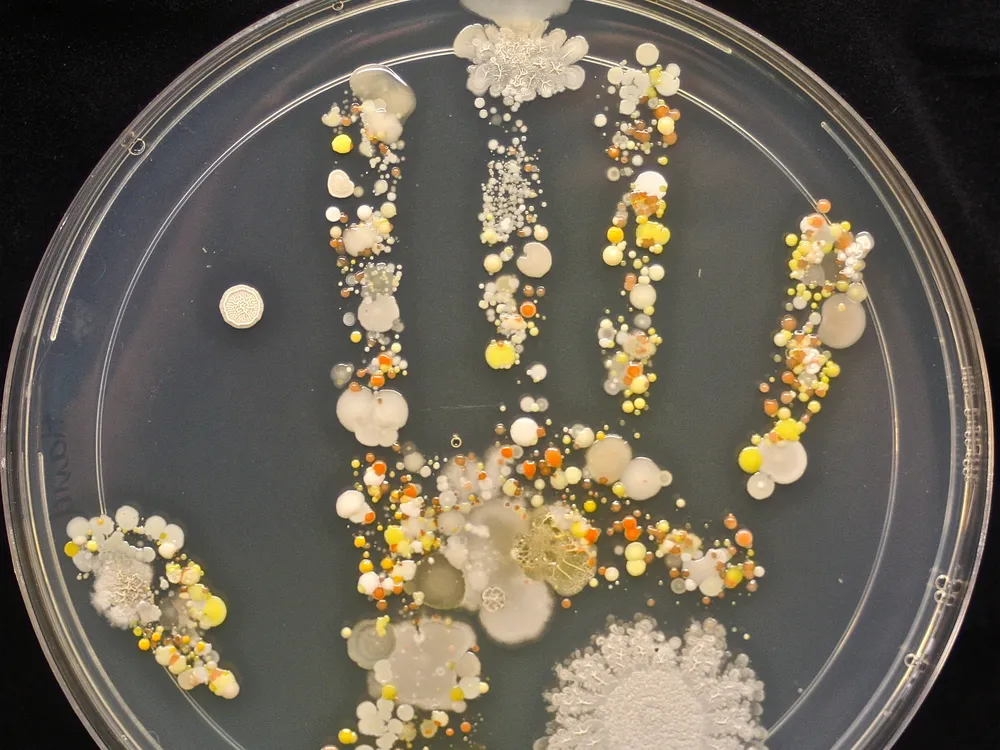 microbe handprint