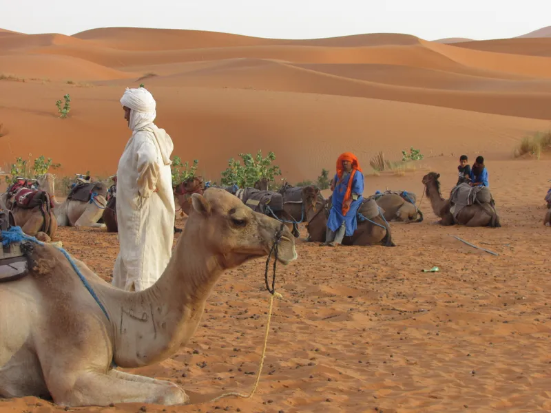 The Desert Bedouins | Smithsonian Photo Contest | Smithsonian Magazine