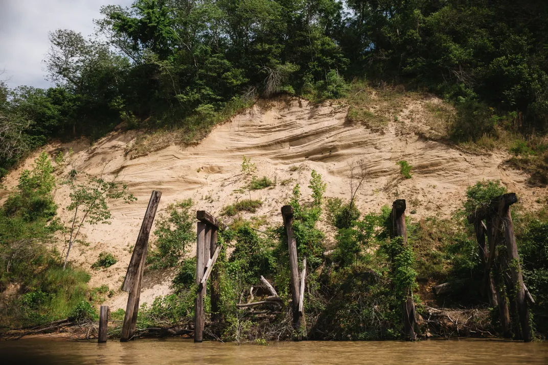 Drowned trees and erosion at Loess Bluff on the Old Natchez Trace. The river has been especially prone to flooding over the last century, partly because engineering has straightened its path and quickened its flow.