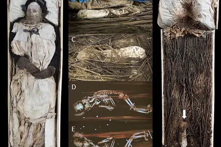 New research suggests that Swedish Bishop Peder Winstrup was buried alongside the remains of his grandchild, a stillborn fetus delivered at five or six months gestation.