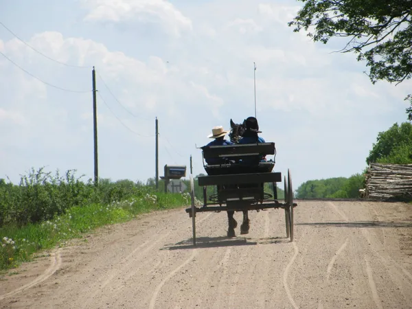 brother and sister riding in a buggy on a dirt road thumbnail