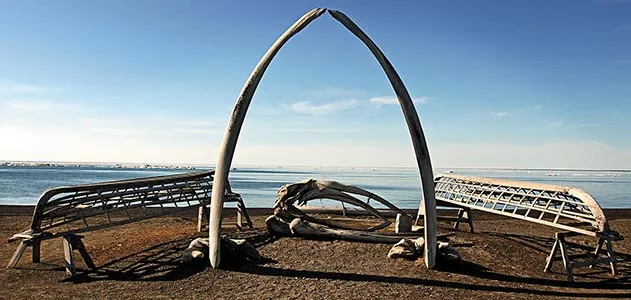 whale-bones-Barrow-Alaska-631.jpg