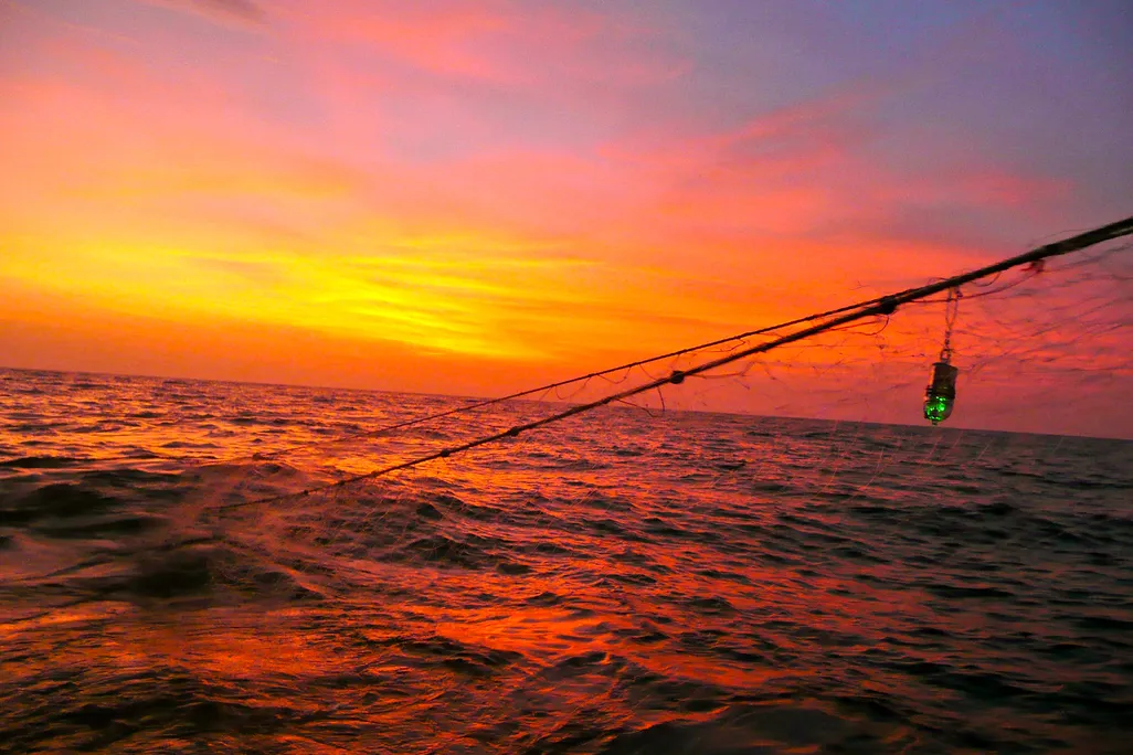 A lighted gillnet with a sunset in the background