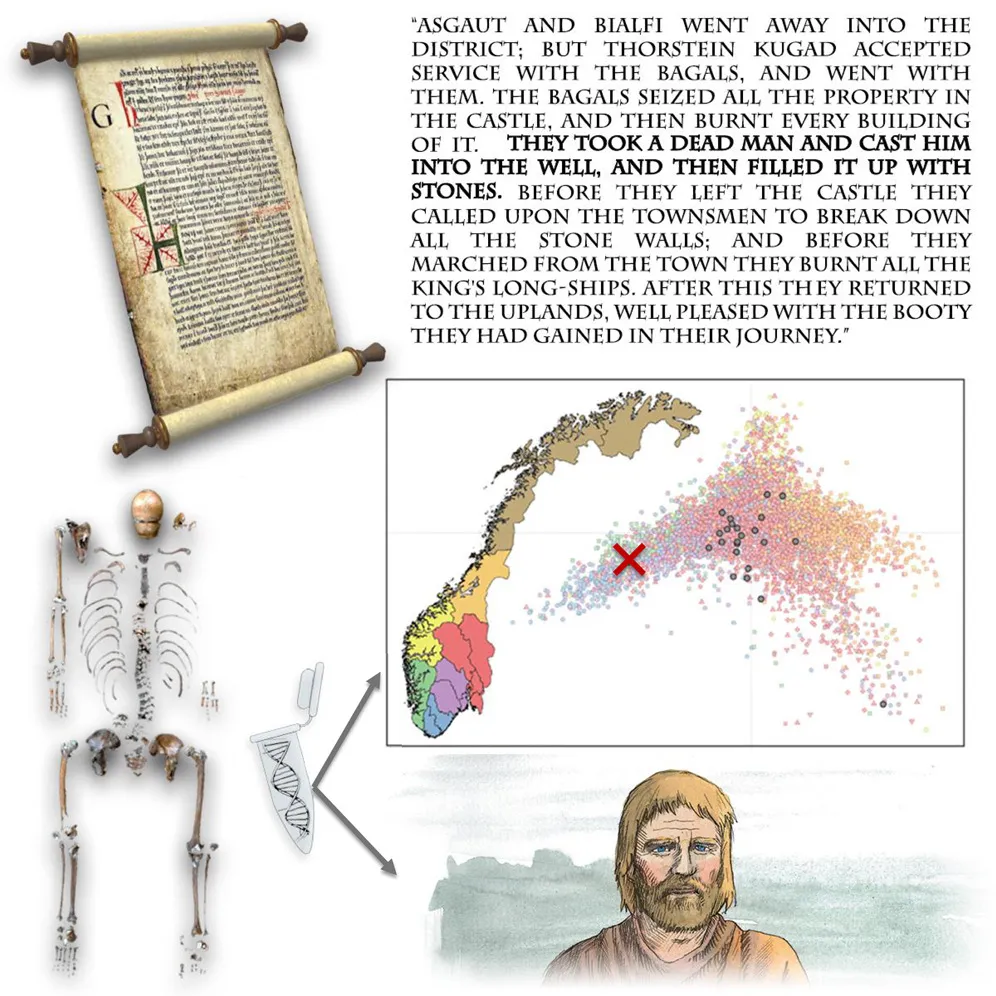 illustration