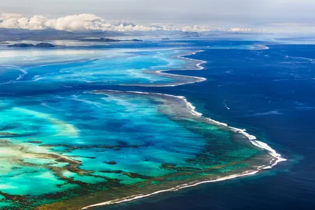 This year, the Great Barrier Reef was found to be hiding another reef beneath it.