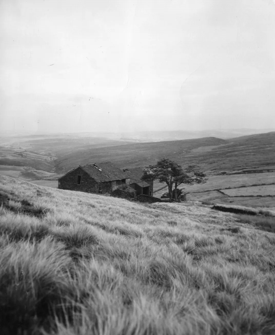 Top Withens, 1955