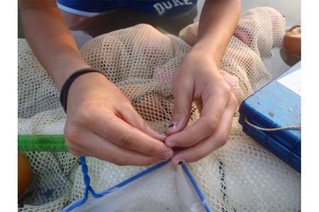Doing science in the field wrecks havoc on the nails
