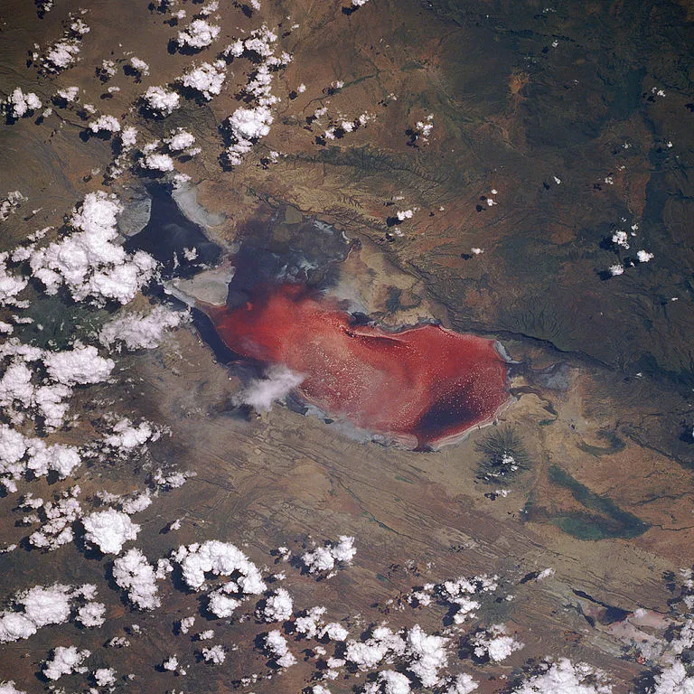 Lake Natron from space