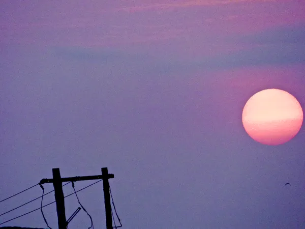 Dusk, Wires, & a Setting Sun Produce an Illusion: the Sun, a Large Orb, Falling Away Over a Harbor thumbnail