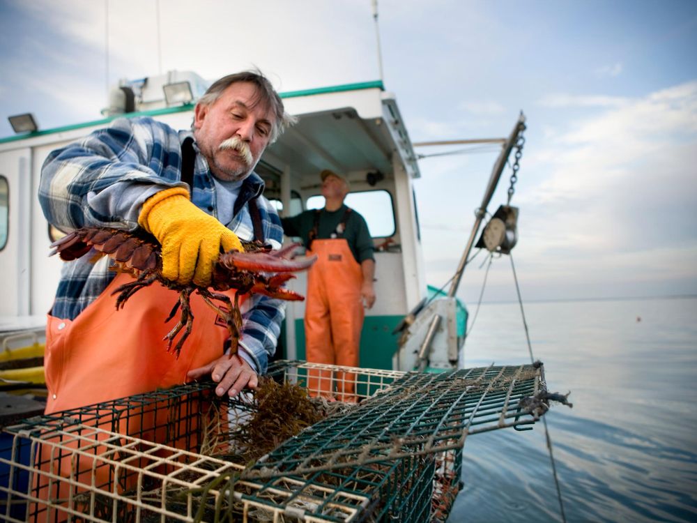 Lobster Fishing