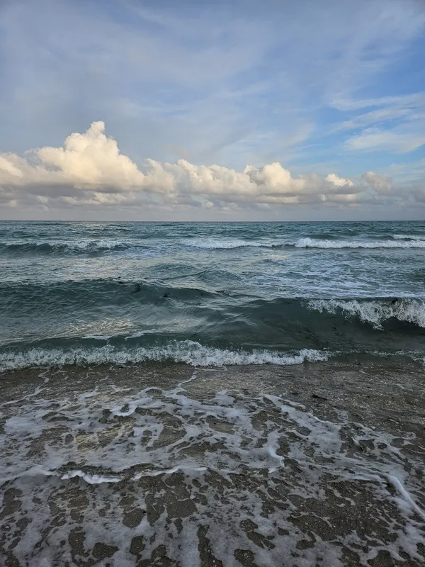 A visit to a beach in Florida thumbnail