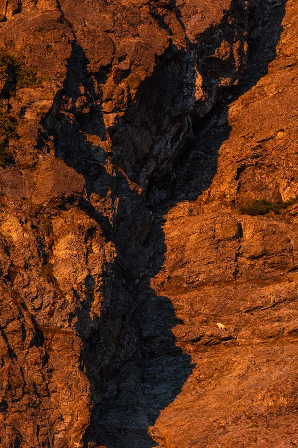 Sure-footed thumbnail